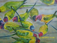 /album/arts-loisirs-la-poste/perruches2-jpg/